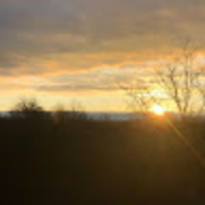 Meet your Posher, Veery